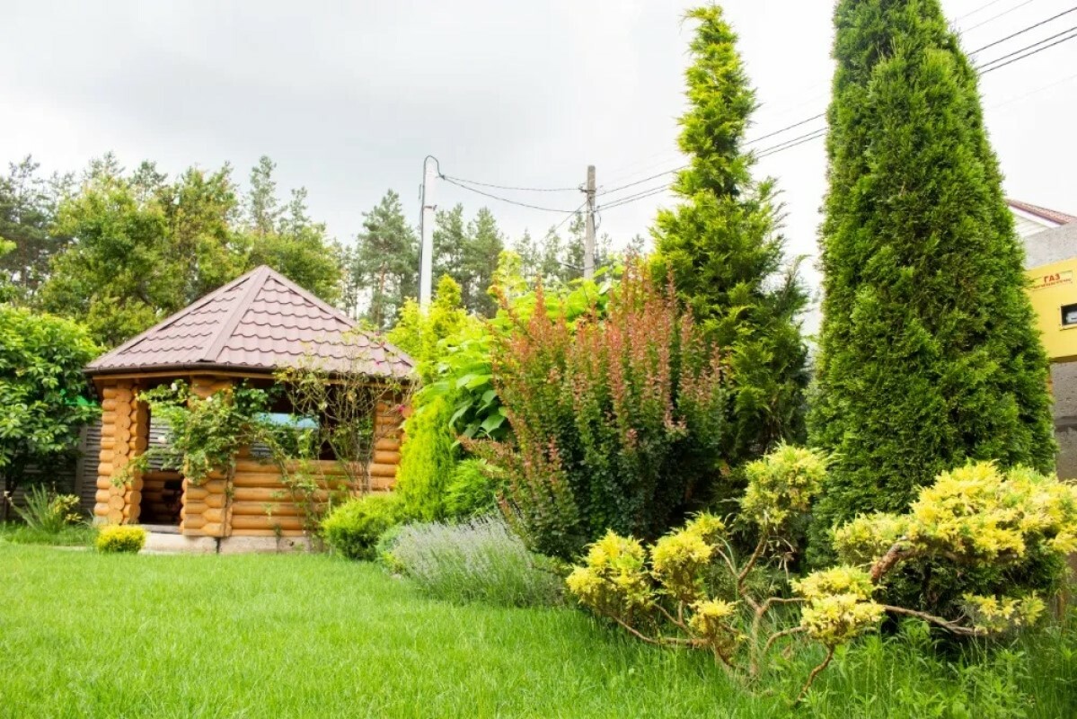 https://artem.tgv-stroy.ru/storage/app/uploads/public/637/ef4/fb3/637ef4fb3605f391429275.png
